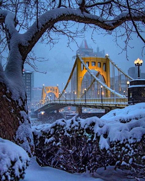 ✨ Christmas Girl ✨’s Instagram post: “Cold, Wintery night in Pittsburgh, Pennsylvania ❄️❄️❄️ #christmastrees #christmasvibes #christmaslove #christmasmagic #christmascountdown…” Pittsburgh Aesthetic, Visit Pittsburgh, Pittsburgh City, New York Life, Pittsburgh Pennsylvania, Winter Is Here, George Washington Bridge, Winter Aesthetic, City Aesthetic