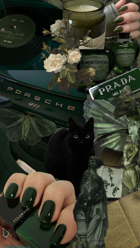 #collage #darkgreen #darkaesthetic #green #wallpaper #cute #dark