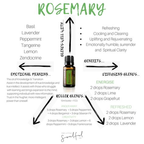 doTERRA Rosemary...... Doterra Clary Sage, Clary Sage Doterra, Doterra Rosemary, Oranges Benefits, Do Terra, Juniper Berry, Doterra Oils, Clary Sage, Doterra Essential Oils