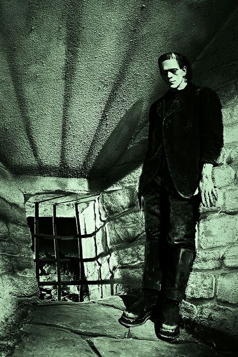 Frankenstein's Monster Real Life Horror Stories, Frankenstein 1931, Hammer Horror Films, Boris Karloff, Horror Monsters, Frankenstein's Monster, Horror Show, Classic Monsters, Universal Monsters