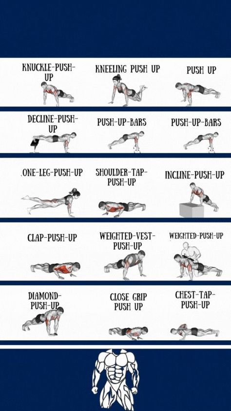 Pectoralis Major, Push Up Bars, Core Work, Weighted Vest, Shoulder Muscles, Major Muscles, Body Strength, Upper Body Strength, Muscle Fitness