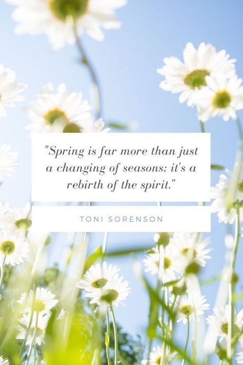 Springtime Quotes, Russian Proverb, Green Traffic Light, Southern Phrases, Margaret Elizabeth, Gustav Mahler, George Santayana, Spring Quotes, Joy Quotes