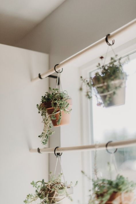 This is a great way to liven up a small window or is very practical if you use a lot of herbs in your cooking. Again, before I realized I didn’t have the green thumb for herbs I planted cilantro, basil, oregano and rosemary. I killed them, so quickly. So. Quickly. I ended up replacing them with these easy to care for succulents. Plant Window, Window Plants, Hanging Plants Indoor, Small Window, Inside Plants, Decoration Plante, Plant Decor Indoor, Diy Window, House Plants Decor