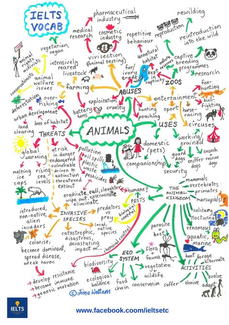 I've made this mind map to help my IELTS students learn the essential vocabulary they need to help them understand and be able to talk about the common umbrella topic of animals. Environment Mind Map Art, Mind Map Art, Ielts Vocabulary, Mental Map, Homework Helpers, English Teaching Materials, Vocabulary Lessons, Ielts Writing, Essay Writing Skills