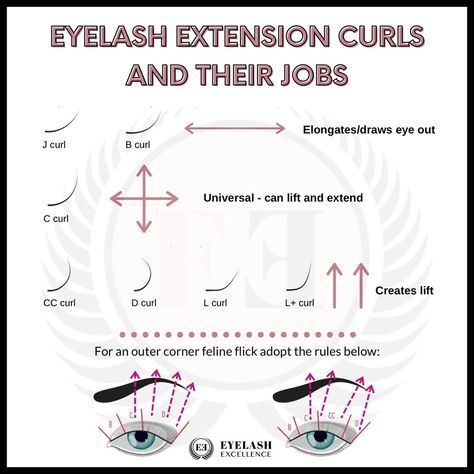 Mobile Lash Technician Set Up, Lashes Mapping, Mega Volume Eyelash Extensions, Eyelash Illustration, Eye Map, Lash Course, Eyelash Studio, Lash Tips, Lash Extension Training