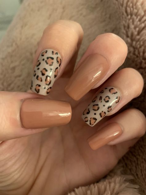 Cheta Print Nail Art, Brown Lepord Print Nails, Tiger Nails, Cheetah Print Nails, Western Nails, Cheetah Nails, Leopard Print Nails, Sassy Nails, Leopard Nails