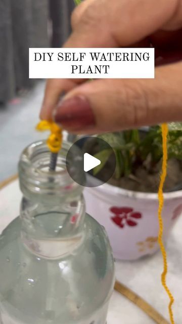 Meenu Rawat on Instagram: "How to keep your plants watered when you are on your vacation 🪴 
.
.
.
.
.
.
.
#diy #diycrafts #gardening #flowers #plants #reels #shorts" Diy Watering Globes For Plants, Auto Plant Watering Diy, Watering Plants While On Vacation, How To Water House Plants, Best Water For House Plants, How To Water Plants When On Vacation, Plant Clippings In Water, Self Watering Plants, Watering Plants