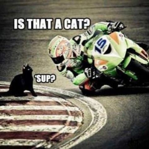 Motocross Funny, Motorcycle Humor, Jokes For Teens, Funny Motorcycle, Funny Photoshop, Dump A Day, Funny Captions, Funny Animal Jokes, 웃긴 사진