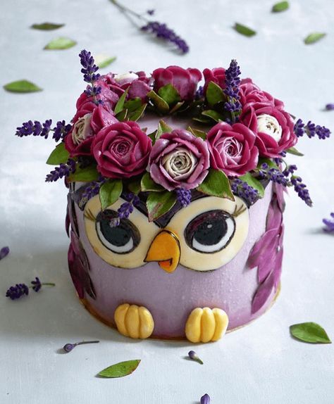 Fruit Owl, Owl Cake Birthday, Owl Cakes, Owl Cake, Owl Birthday, Animal Cakes, Birthday Cake Ideas, Character Cakes, Cute Birthday Cakes