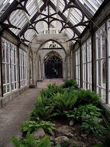 Old conservatory!!! Bebe'!!! Love the fern garden!!! Now just add some trees and flowering plants!!! A little seating area too would be nice!!! Old Conservatory, Conservatory Greenhouse, Best Greenhouse, Lots Of Plants, Conservatory Garden, Magic Places, Wooden Greenhouses, Plants Growing, Ivy House