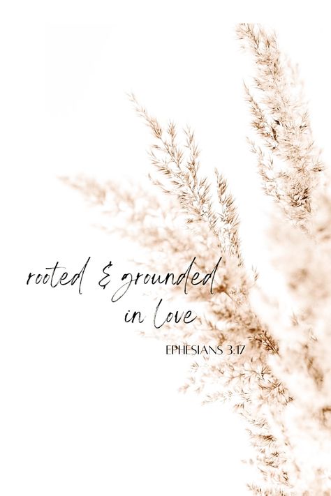 Bible verse Rooted In Faith, Bible Verse About Being Grateful, Inspirational Bible Quotes Positive, Biblical Healing, Gods Truth, Ephesians 3 17, Rooted In Christ, Bible Verse Background, Healing Affirmations