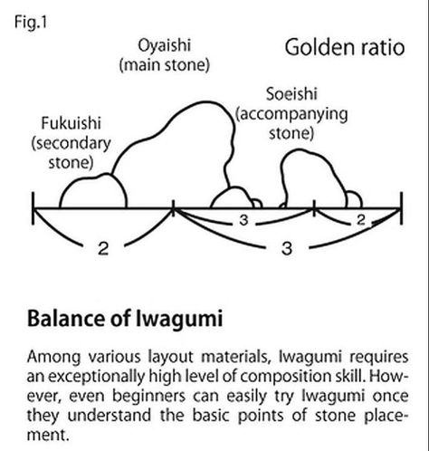 Ryoanji, Japanese Rock Garden, Japanese Style Garden, Small Japanese Garden, Japanese Garden Landscape, Aquascape Design, Zen Garden Design, Aquarium Terrarium, Fresh Water Fish Tank