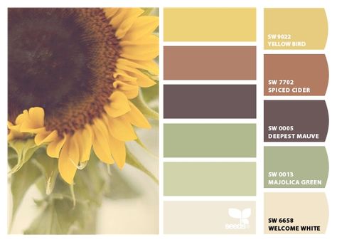 Sunflower Kitchen Paint Ideas, Sunflower Kitchen Color Scheme, Yellow Paint Pallets Color Schemes, Sunflower Kitchen Paint Colors, Yellow Cream Aesthetic, Color Pallets With Yellow, Earthy Yellow Color Palette, Sherwin Williams Spiced Cider, Yellow Paint Palette