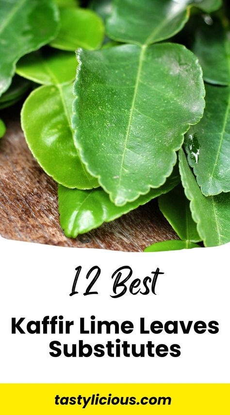 best kaffir lime leaves substitutes | kaffir lime leaves substitute curry leaves | kaffir lime leaves substitute lemongrass | kaffir lime leaves vs lime leaves | fall recipes dinner | healthy lunch ideas | dinner ideas | breakfast ideas | easy healthy dinner recipes Kaffir Lime Leaves Recipes, Kaffir Lime Recipes, Breakfast Ideas Easy Healthy, Fall Recipes Dinner, Breakfast Ideas Easy, Cooking Curry, Lime Leaves, Cambodian Food, Lime Recipes