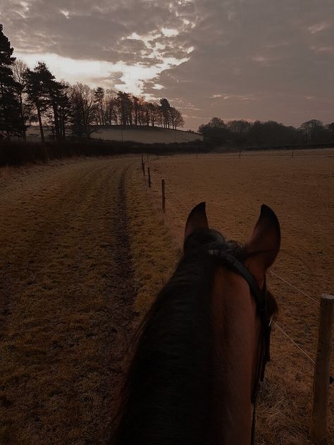 Dark Brown Horse Aesthetic, Tan And Black Aesthetic, Brown Horse Aesthetic, Country Widgets, Dark Green Academia, Black Arabian Horse, Horse Riding Aesthetic, Green Academia, Horse Aesthetic