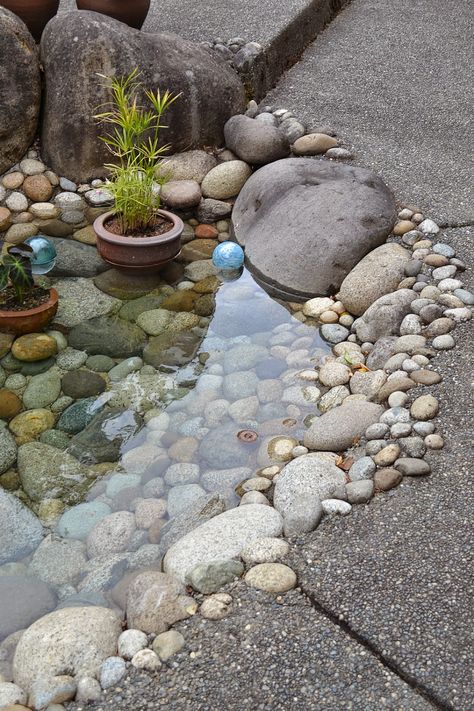 Aesthetic Backyard, Backyard Aesthetic, Backyard Patio Ideas, Small Water Gardens, Ponds For Small Gardens, Garden Cultivator, Landscape Backyard, Mexican Beach, Pebble Garden