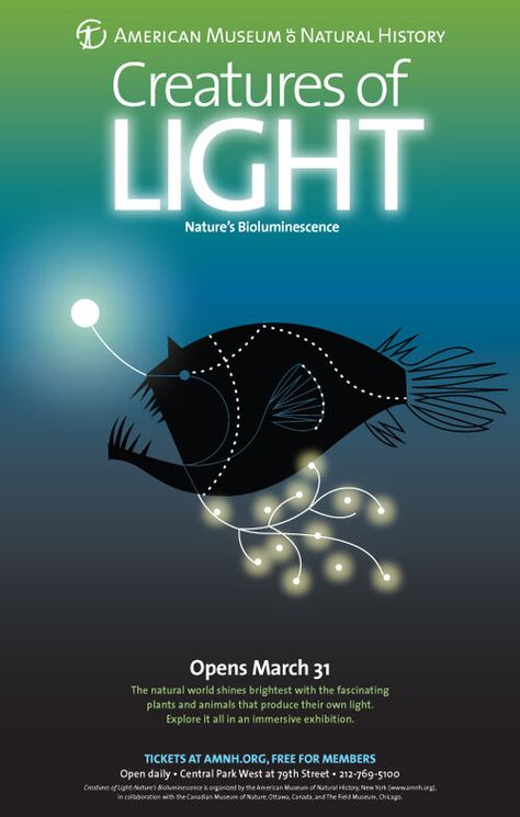 Bioluminescence Creatures, Simple Illustrations, Design And Illustration, Simple Illustration, Animal Posters, Natural History, Natural World, Poster Art, Communication