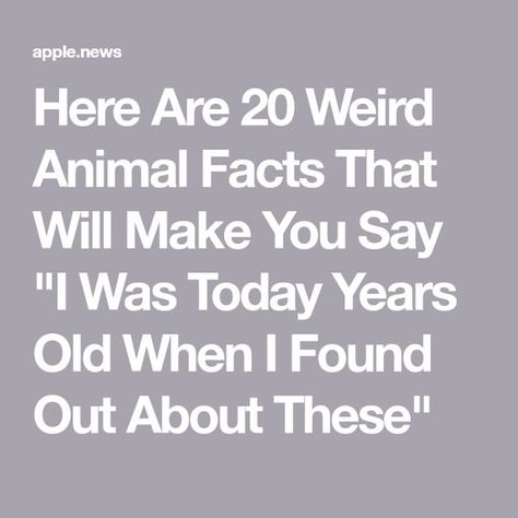 Weird Facts About Animals, Today Years Old Facts, I Was Today Years Old When I Found Out, Funny Weird Facts, Weird Animal Facts, I Was Today Years Old, Today Years Old, You Just Realized, Animal Facts