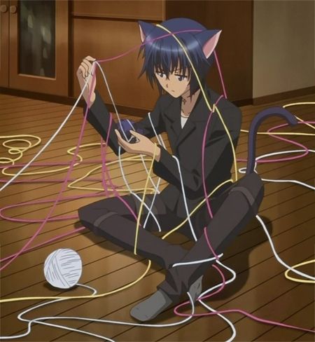 https://flic.kr/p/eTN4ig | Ikuto-ikuto-tsukiyomi-fanclub-3900088-450-488 Shugo Chara, An Anime, Anime Character, Yarn, Anime