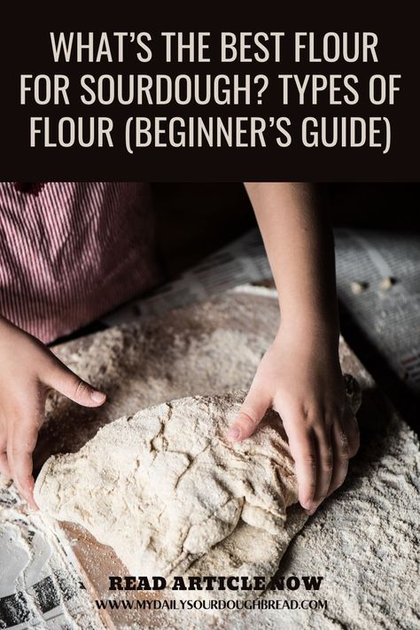 Best Sourdough Starter, Best Sourdough Starter Recipe, Healthy Flour, Sourdough Bread Starter, Dough Starter, Bread Starter, Whole Grain Flour, Sourdough Starter Recipe, Types Of Flour