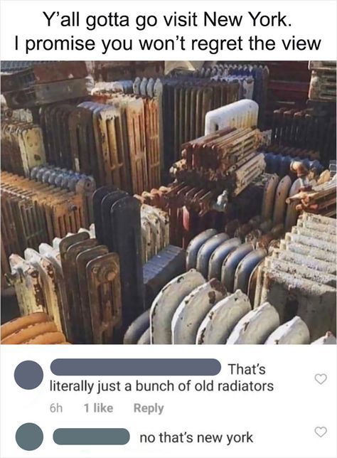 Looks Like New York To Me Old Radiators, Captain Obvious, Bad Humor, Visit New York, Really Funny, Dumb And Dumber, Funny Jokes, Funny Pictures, Funny Memes