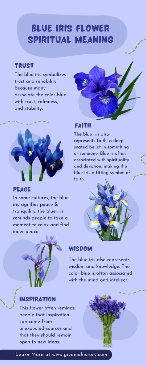 Blue Flowers Meaning, Iris Flower Meaning, Iris Symbolism, Iris Flowers Aesthetic, Iris Wedding Flowers, Blue Flower Names, Iris Meaning, Iris Flower Tattoo, Big Tattoos