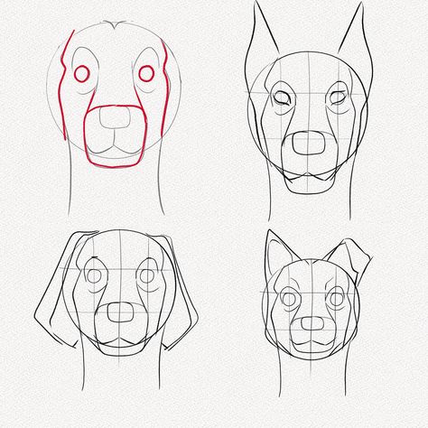 How to Draw a Dog Face – A Step-by-Step Tutorial – Artlex Neha Choudhary, Dog Face Drawing, Dog Drawing Tutorial, Draw A Dog, Dog Drawing Simple, German Shepherd Art, Drawing Step By Step, Drawing Tutorial Face, Dog Steps