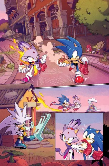 Idw Sonic, Anime Characters Birthdays, Sonic Comic, Idw Comics, Blaze The Cat, Sonic & Knuckles, Hedgehog Movie, Sonic Heroes, Silver The Hedgehog