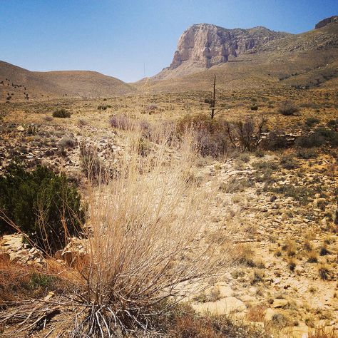 Guadalupe Mountains National Park Chihuahuan Desert West Texas Chihuahua Desert, Chihuahuan Desert, Texas Desert, Guadalupe Mountains National Park, Guadalupe Mountains, Desert Places, West Texas, Desert Plants, Inspirational Posters