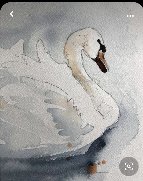 Watercolor Over Pencil, Watercolor Pencils For Beginners, Acvarel Painting Ideas Easy, Watercolor Art Cards, Swan Drawing, Quick Watercolor, Swan Art, Swan Painting, Swans Art