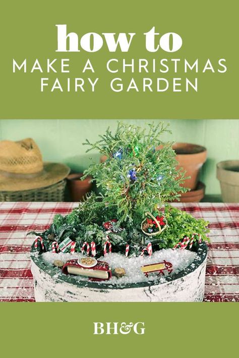 Christmas Fairy Garden Holiday, Christmas Fairy Garden Diy, Winter Fairy Garden Christmas, Christmas Fairy Garden Ideas, Fairy Garden Christmas, Miniature Fairy Garden Diy, Winter Fairy Garden, Miniature Garden Plants, Christmas Fairy Garden