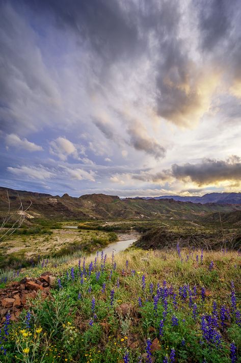 Big Bend Ranch State Park, Texas by Anne McKinnell Explore Texas, Texas State Parks, Art In The Park, Visit Texas, Texas Places, Texas Vacations, Texas Photography, Big Bend National Park, Ranch Life