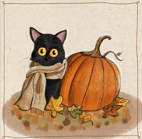 Animal Drawing Ideas, Autumn Cat, Halloween Black Cats, Procreate Ideas, Pumpkin Drawing, Pumpkin Illustration, Drawing Kids, Halloween Baskets, The Witching Hour