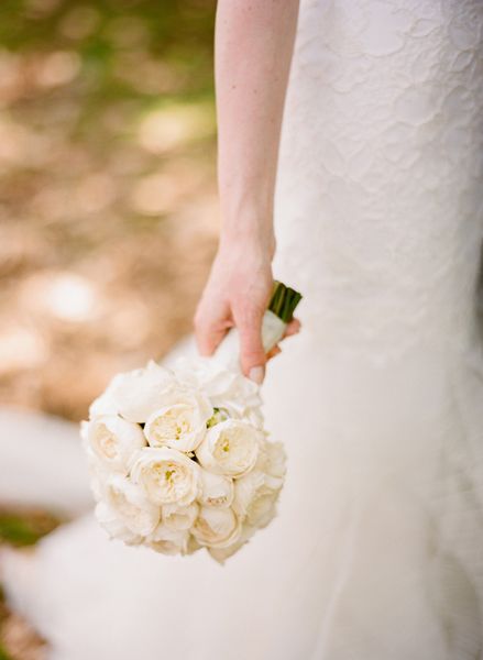 David Austin Bouquet, Garden Rose Bouquet, White Bouquets, Literary Wedding, Round Bouquet, Australia Wedding, Diy Wedding Bouquet, Greek Wedding, Garden Rose