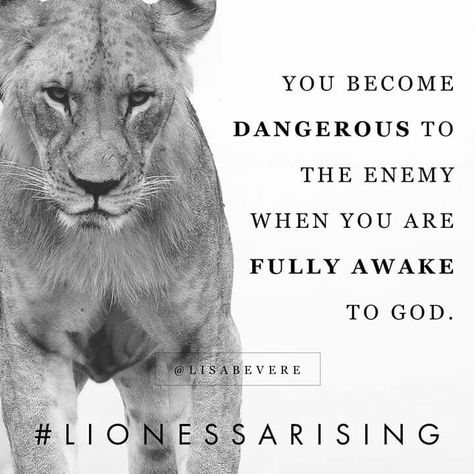 You become dangerous to the enemy when you are fully awake to God. Lioness Arising, Lioness Quotes, Lisa Bevere, Ephesians 6 11, Warfare Prayers, Lion Quotes, Ephesians 6, Lion Of Judah, Gods Grace