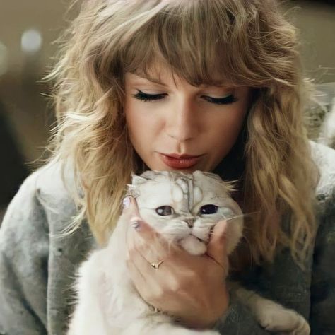 Taylor Swift And Her Cats, Olivia And Taylor, Taylor Swift And Olivia, Cute Wallpaper, More Fun, Taylor Swift, Swift