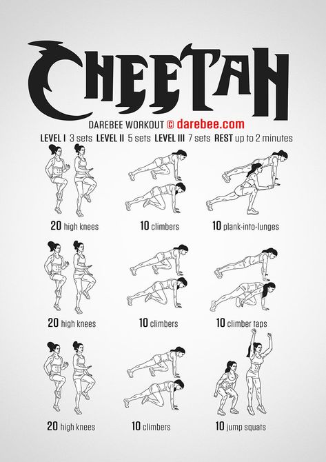 Cheetah Workout Darebee Workout, Ball Workouts, Superhero Workout, Speed Workout, Football Workouts, Army Training, Soccer Workouts, Basketball Workouts, Track Workout