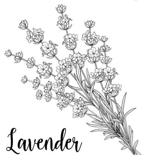 Flower Wreath Tattoo, Wreath Tattoo, Lavender Tattoo, Tattoo Reference, Cat Tattoo, Flower Wreath, Lavender, Clip Art, Tattoos