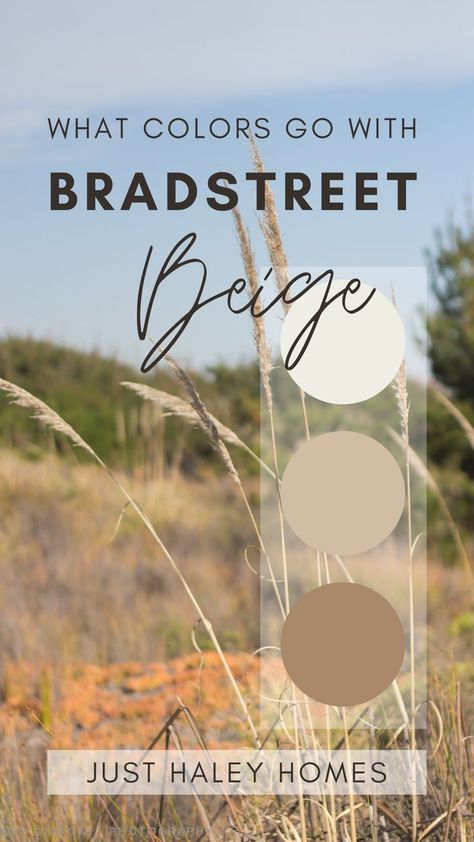 What Colors go with Bradstreet Beige. Paint Swatches shown are Atrium White and Jackson Tan Bradstreet Beige Benjamin Moore, Paint Color Ideas For Home, Whole Home Paint Scheme, Paint Color Combinations, Beige Paint Colors, Paint Palettes, Paint Color Ideas, Color Combinations Paint, Beige Paint