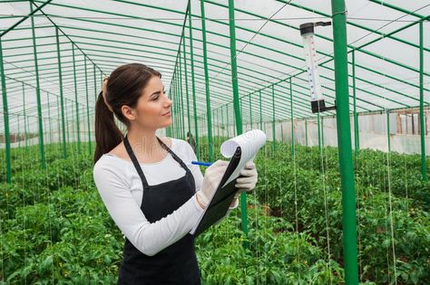 Portrait of young agriculture female engineer working in greenhouse. Young agric , #Aff, #female, #engineer, #working, #Portrait, #young #ad Agricultural Engineering, Cap And Gown Pictures, Female Engineer, Commercial Insurance, Virtual Field Trips, Laboratory Science, Insurance Agency, Business Insurance, Small Farm