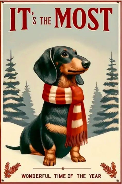 Daschund Christmas Wallpaper, Dachshund Colors, Doxie Art, Dachshund Cartoon, Paw Wallpaper, Farmhouse Cafe, Christmas Dachshund, Merry Christmas Dog, Dachshund Funny