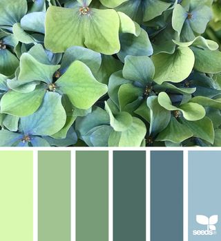 { flora hues } image via: @bea7507 The post Flora Hues appeared first on Design Seeds. Seeds Color, Color Concept, Paint Color Schemes, Pallet Painting, Color Palate, Design Seeds, Color Balance, Colour Board, Paint Colors For Home