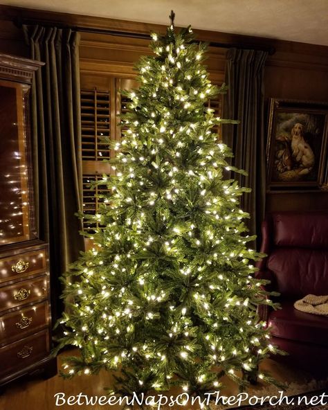 Twinkle Lights Tree, Best Artificial Christmas Trees 2023, Twinkle Christmas Tree Lights, Christmas Tree Only Lights, Best Twinkle Lights For Christmas Tree, Christmas Tree With Fairy Lights, Lights Only Christmas Tree, Best Christmas Tree Lights, Twinkly Christmas Tree