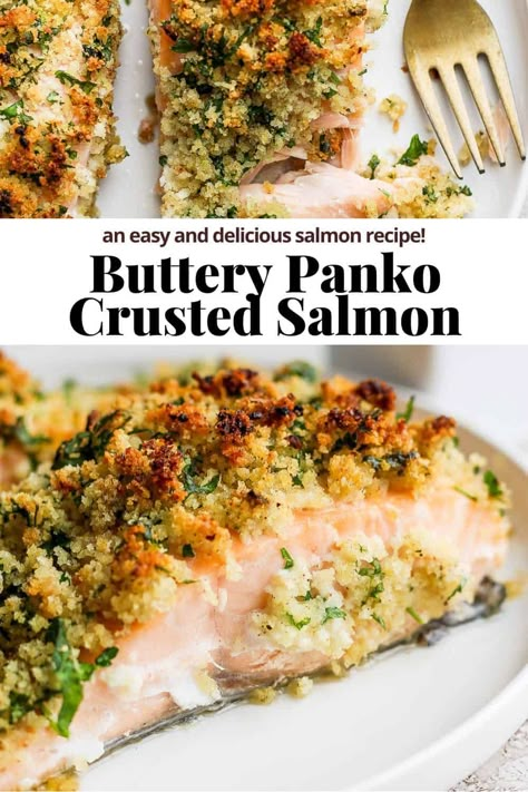 Panko Crusted Salmon - a delicious and flavorful panko crusted salmon recipe that is perfect for any night of the week! #pankocrustedsalmon #pankocrustedsalmonairfryer #pankocrustedsalmonbites #pankocrustedsalmonbaked Potato Crusted Salmon, Honey Mustard Panko Salmon, Feta And Herb Crusted Salmon, Baked Crusted Salmon, Crusty Salmon Recipes, Crunchy Salmon, Salmon Bread Crumbs Recipe, Side Of Salmon Recipes, Lemon Crusted Salmon