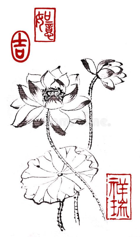 Lily Sketch, Water Lily Drawing, Peace Color, Lotus Drawing, Lilies Drawing, Chinese Flowers, Chinese Drawings, China Ink, Ink Water