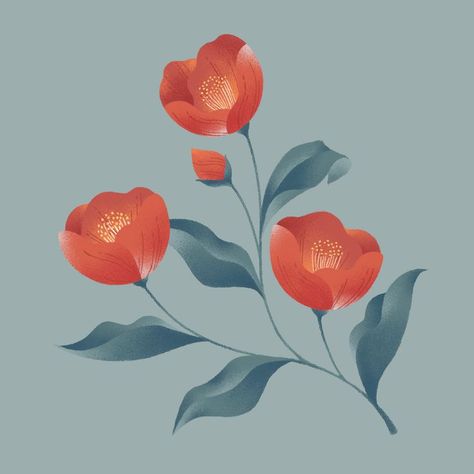 #illustration #camellia #flower Flower Mural, Flower Graphic Design, Camellia Flower, Nature Drawing, Winter Flowers, Flower Graphic, Botanical Drawings, Flower Illustration, Acrylic Art