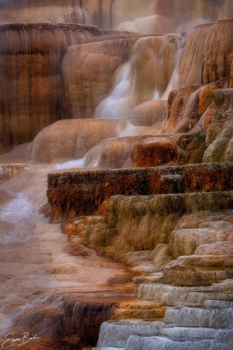 Erwin Buske - 17/06/21. Mammoth Hot Springs Waterfall Terrace This steamy waterfall cascading over the terraces and staircase of Mammoth Hot Spring certainly stirred my imagination. It was almost like a dream that seemed so real that the dream is reality and reality a dream! Mammoth Hot Springs, My Imagination, So Real, Hot Spring, The Dream, Hot Springs, A Dream, Terrace, Springs