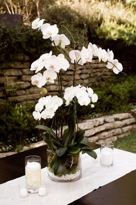 Orchid Wedding Theme, Orchid Centerpieces Wedding, White Flower Centerpieces, Orchid Flower Arrangements, Orchid Centerpieces, Favourite Flowers, Tablescape Ideas, Exotic Orchids, Orchid Wedding