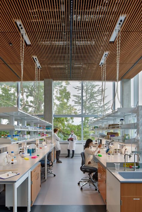 Research Center Design, Research Lab Architecture, Research And Development Center Design, Lab Design Interior, Laboratory Design Architecture, Innovation Lab Design, Laboratory Design Interior, Research Center Architecture, Laboratory Architecture