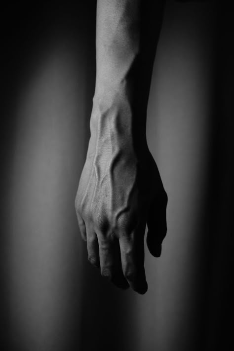 Black And White Hand Reference, Hands Art Photography, Hand Drawing Reference Photo, Male Hands Drawing, Hand Reference Photography, Hand Portrait, Human Body Photography, Hands Portrait, Human Body Art